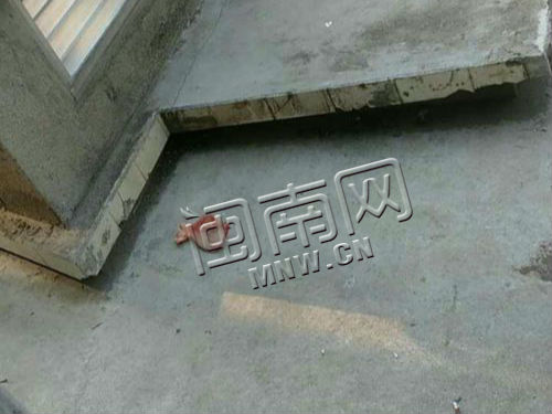 砸中老汤的猪大骨
