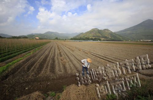 康庄村2000亩耕地是省级粮食产能区，却面临缺水灌溉的问题