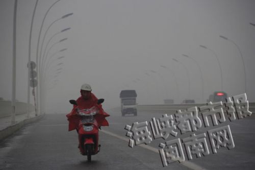 昨天下午3点多，九龙江大桥上，车辆在大雾中行驶
