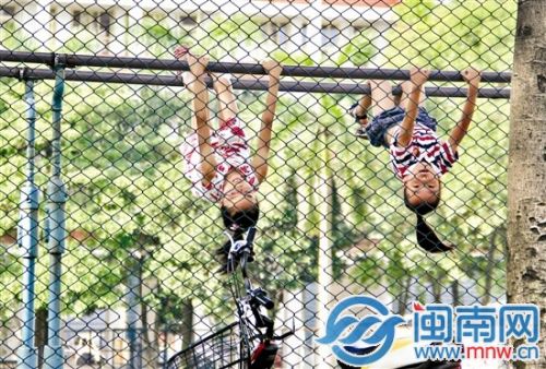 树阴底下，两个小女孩倒挂在双杠上玩耍（摄于漳州一中）