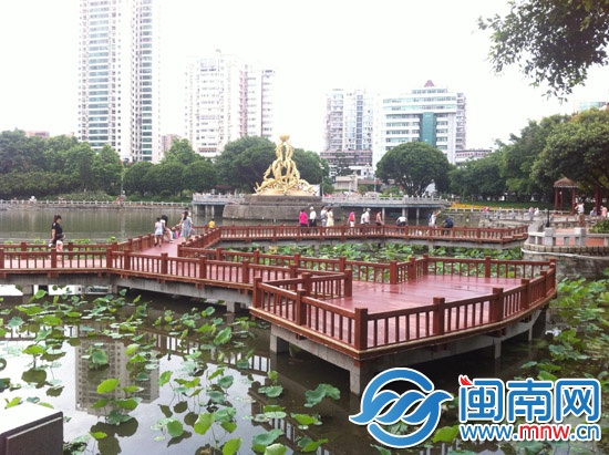 荷花池上建了观景栈道