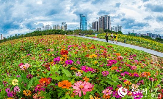 漳州的"四海—荔枝海,香蕉海,水仙花海,四季花海美名远扬.